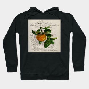 scripts Shabby French botanical print mandarin orange Hoodie